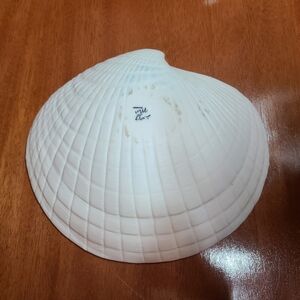 Decorative porcelain shell